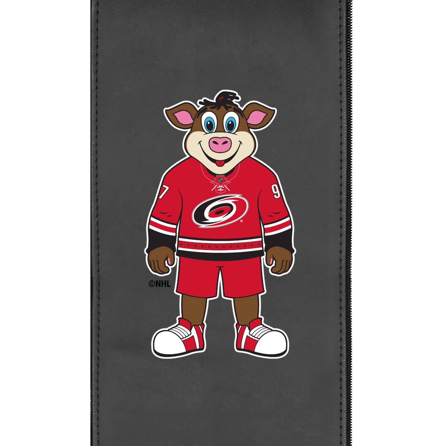 SuiteMax 3.5 VIP Seats with Carolina Hurricanes Stormy Mascot Logo