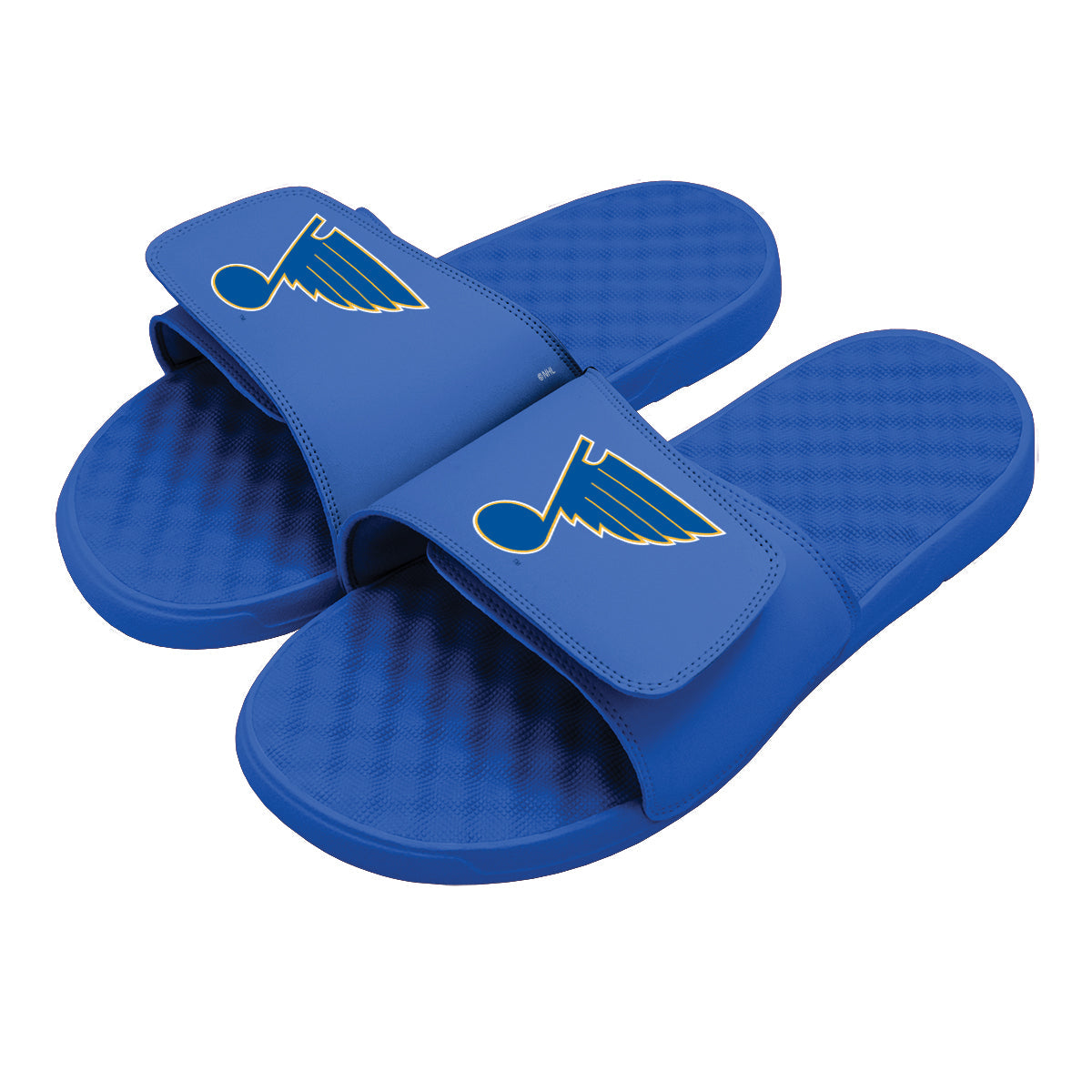 St Louis Blues Primary Slides