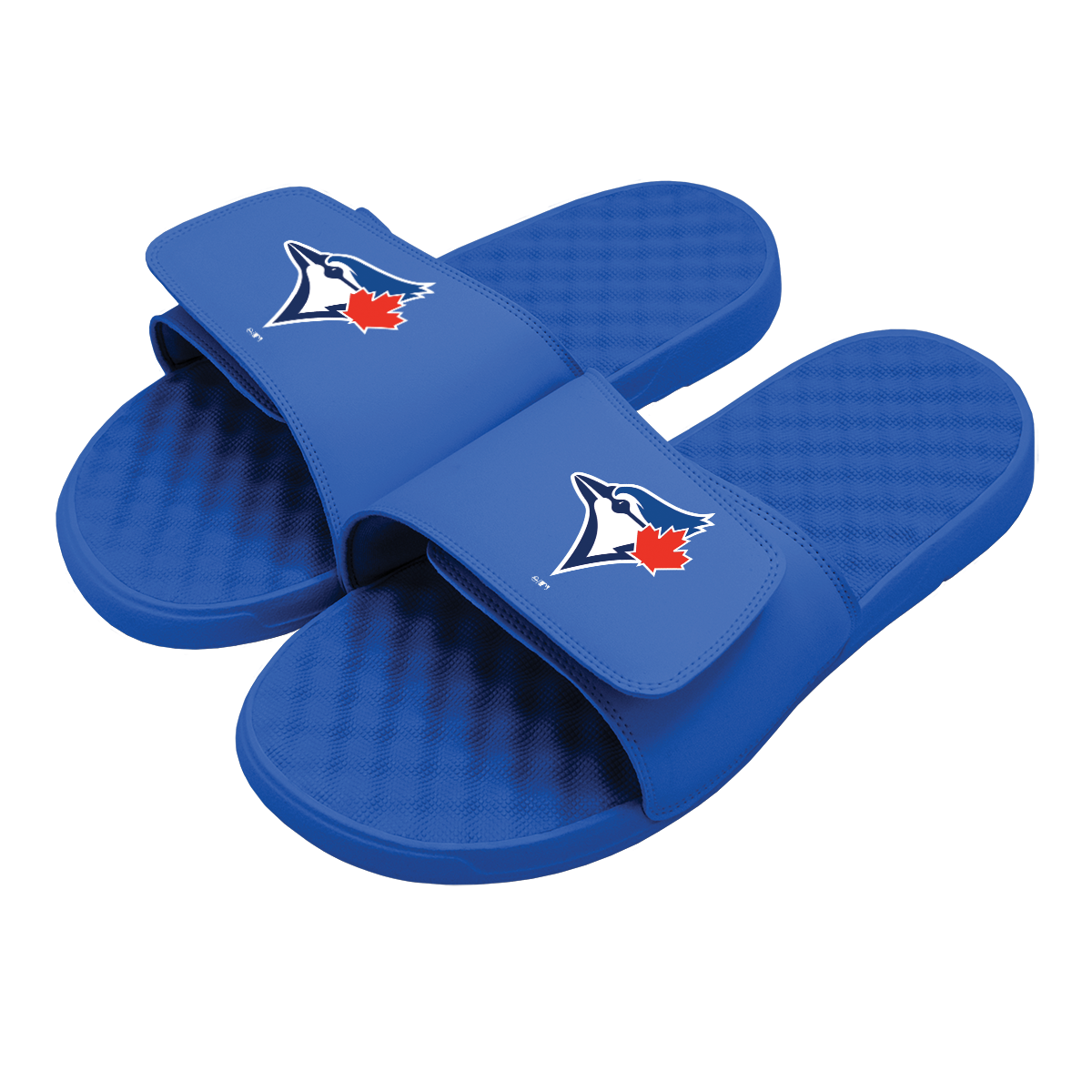 Toronto Blue Jays Alternative Slides