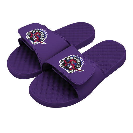 Raptors HWC Primary Logo Slides
