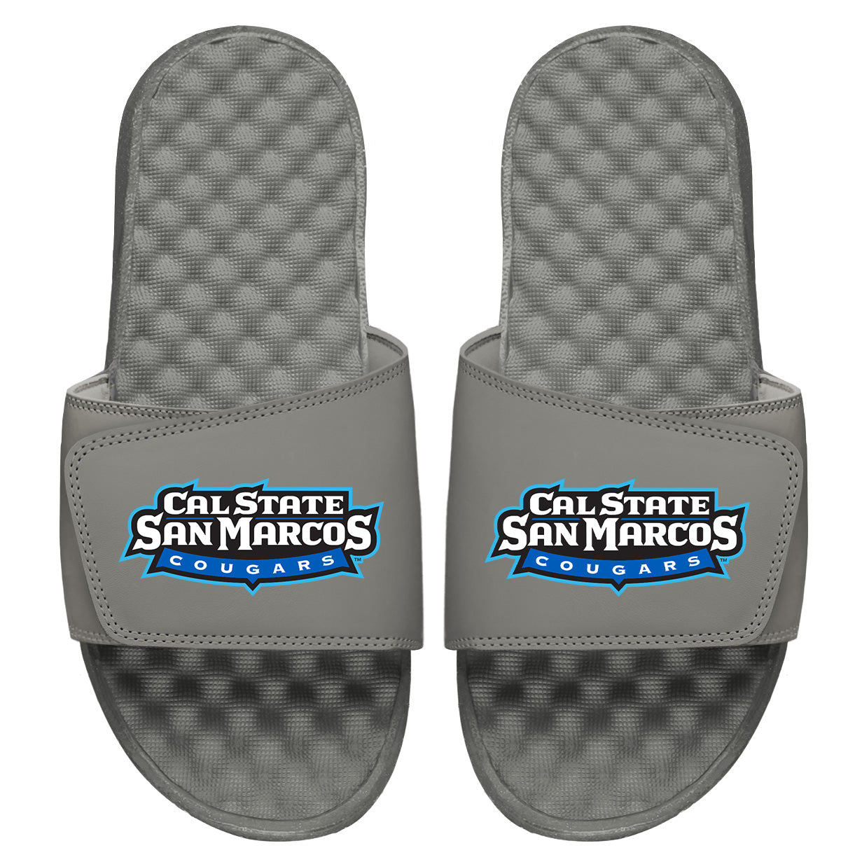 CSUSM Wordmark Slides