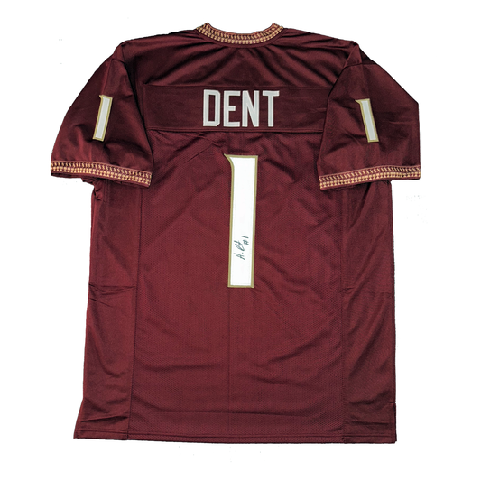 Akeem Dent Autographed Custom Florida State Seminoles Garnett Jersey JSA COA