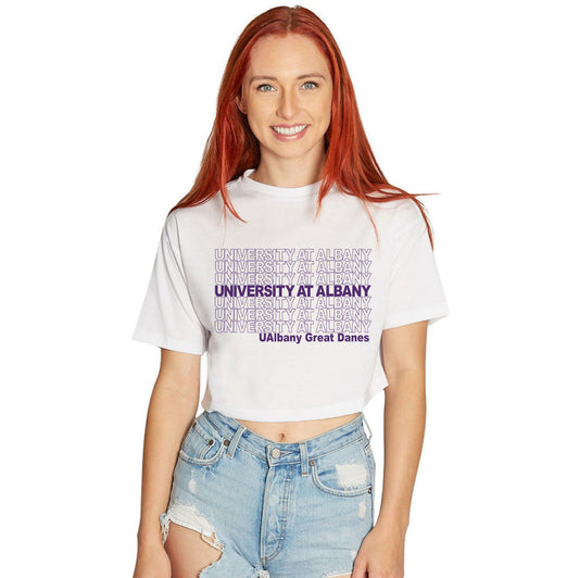 University at Albany Repeat Tee