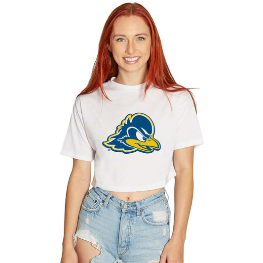 Delaware Blue Hens Tee
