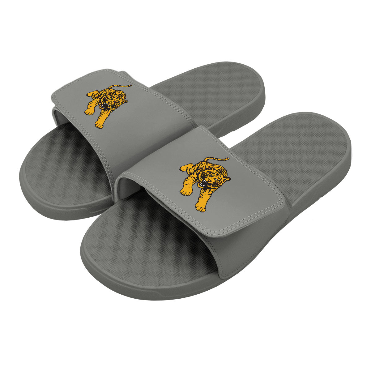 Tuskegee Tiger Slides