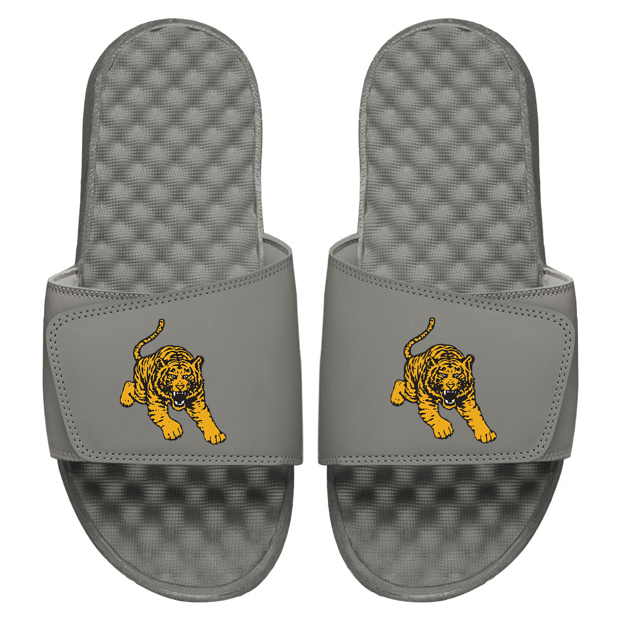 Tuskegee Tiger Slides