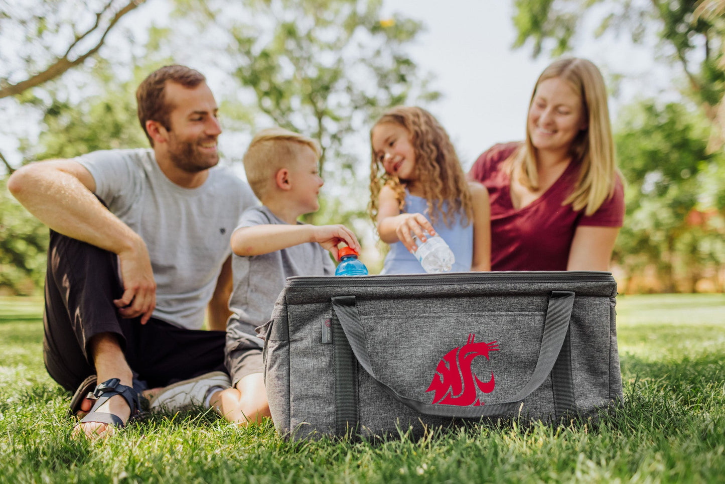 Washington State Cougars - 64 Can Collapsible Cooler