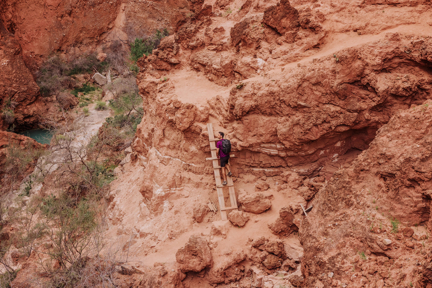Philadelphia Eagles - Tarana Recycled Backpack Cooler