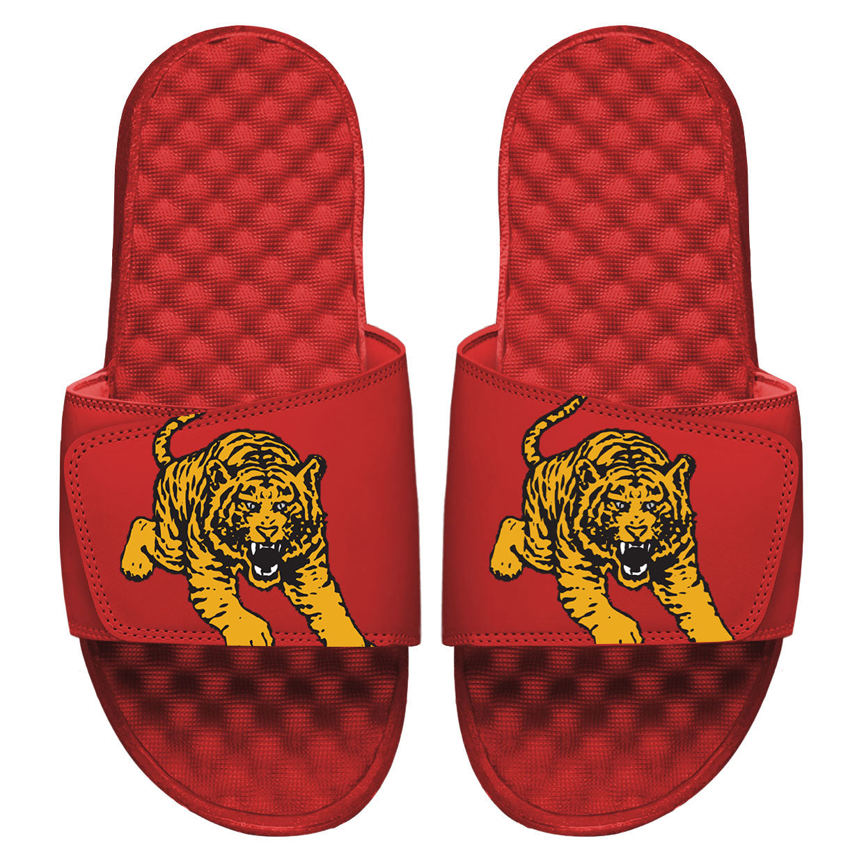 Tuskegee Tiger Blown Up Slides