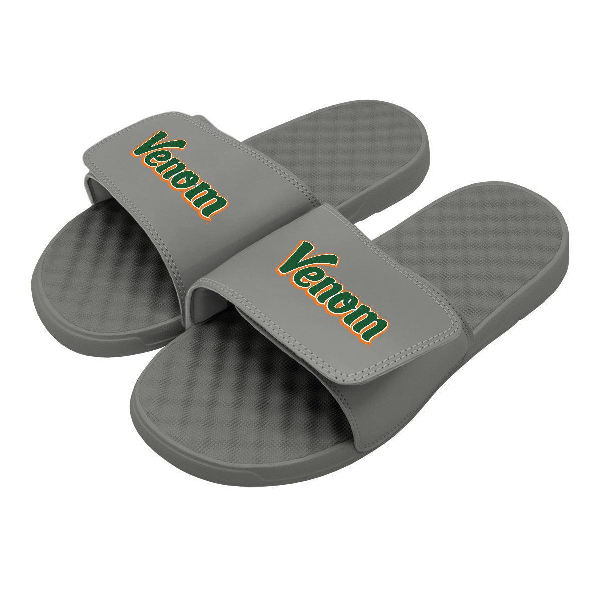 FAMU Venom Slides