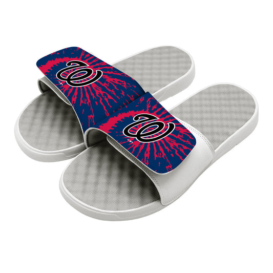Washington Nationals Slides